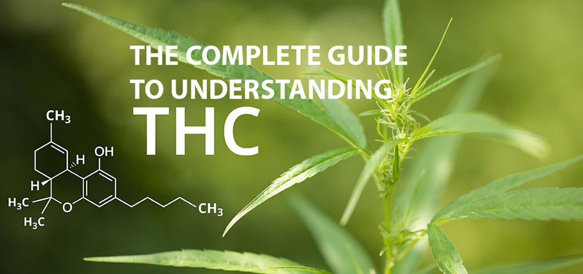 guide to understand thc