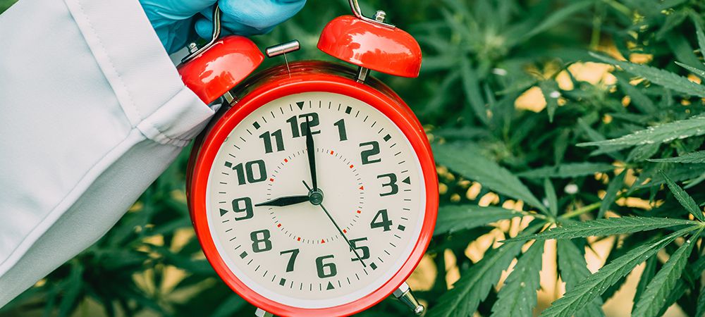 sleep-promoting cannabis tips