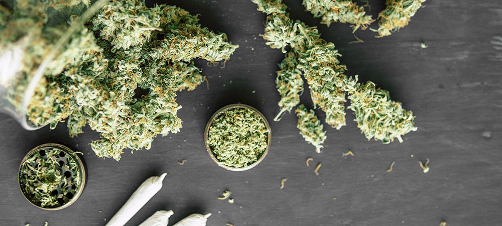 Terpenes in Weed - What They Are and Why You Need Them - Weed Me - Cannabis  Products Online